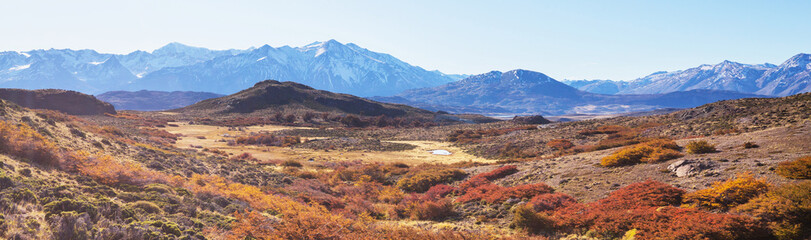 Fototapeta premium Autumn in Patagonia