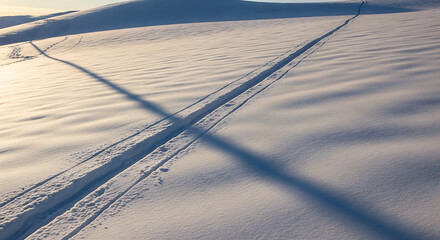 Winter ski tracks create a serene and beautiful pattern across a snow-covered landscape during golden hour with long shadows