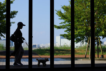 窓の外を散歩しているトイ・プードルとその飼い主
