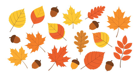 Fototapeta premium Autumn Leaves Collection, Nature Scene, Vibrant Colors, Graphic Design, Seasonal Change, Aesthetic View, Visual Art