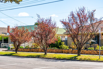 Obraz premium Suburban residential street in Melbourne, Australia, with street trees on the nature strip in front of private houses. Concept of everyday lifestyle, neighborhood environment, and local community life