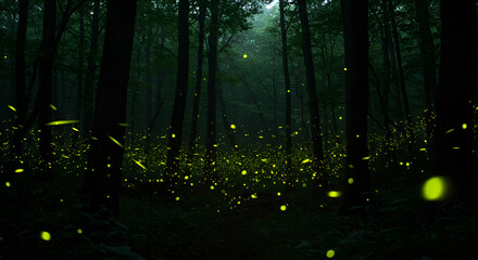 A dark forest filled with glowing fireflies, creating a magical and enchanting night atmosphere