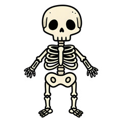Cartoon Skeleton with Large Eye Sockets and Outlined Bones Standing Upright.