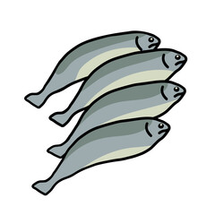 four raw sardines outline color vector illustration