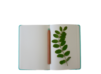 bloc de notas sobre fondo transparente 