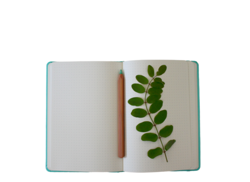 bloc de notas sobre fondo transparente 