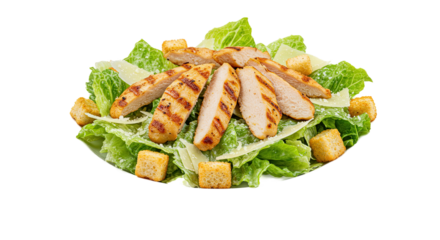 Grilled Chicken Salad with Croutons and Parmesan on Light Green Background