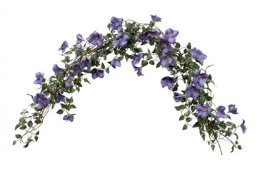 Purple clematis garland against a white background.