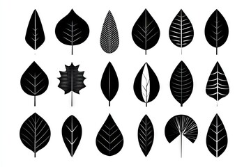 Collection of stylized leaf silhouettes.