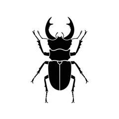 Dark Silhouette of a Beetle with Elegant Lines on Transparent Background: Ideal for Graphic Design Projects, Logos, and Branding Elements