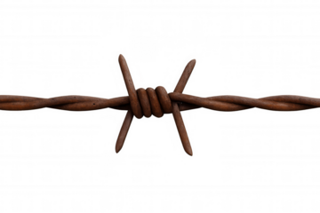 Close-up of rusty barbed wire symbolizing restriction, boundary, and security, isolated on a transparent background
