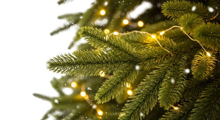 Close-up of a decorated Christmas tree branch with fairy lights and snow