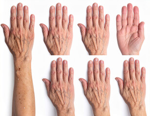 Obraz premium Aged Hands Collage: Wrinkled Skin, Veins, and Age Spots on White Background