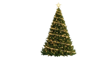 Fototapeta premium Decorated Christmas Tree with Star and Lights graphic