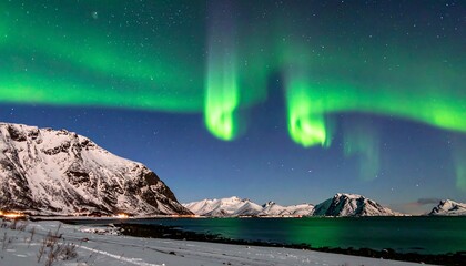 Night scene green aurora borealis dances over snowy mountains, coastline, and dark waters under a star-filled sky