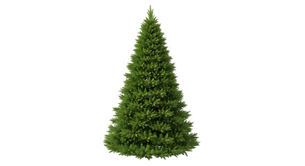 Unadorned Green Fir Tree Christmas tree evergreen