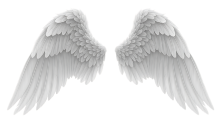 Isolated pair of angelic wings with detailed feathering and symmetrical design against a void on transparent background