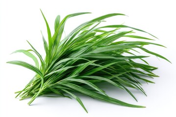 Fototapeta premium Fresh Bundle Of Green Grass On White Background