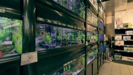Aquarium tanks with colorful fish and plants on display inside a pet shop, showing rows of aquariums and aquatic products