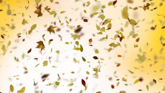 Falling Autumn Leaves Background Seamless Loop