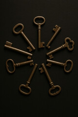 Discover hidden opportunities with this vintage collection of antique skeleton keys symbolizing access and solutions