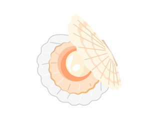 口が開いている白い殻付きのホタテ貝のイラスト