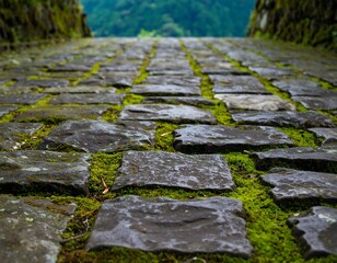 Close-up view of a mossy stone path