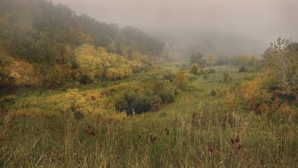 scissors creek on foggy morning