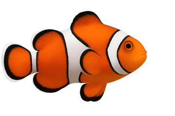 Vibrant orange clownfish isolated on transparent background, marine life