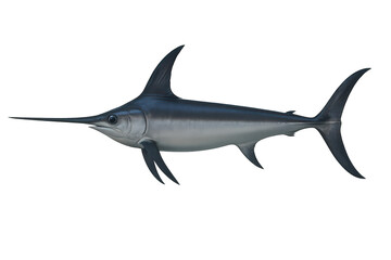 Obraz premium A detailed render of a majestic swordfish isolated on transparent background