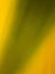 Natural Green and Yellow Abstract Gradient Background