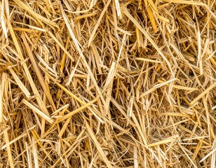 Close-up view of dry straw