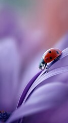 Fototapeta premium Ladybug on Purple Flower Petal: Close-Up Macro Photograph Showcasing Detailed Insect and Floral Beauty