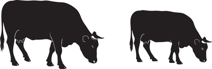 Black Silhouette of Two Cows Grazing