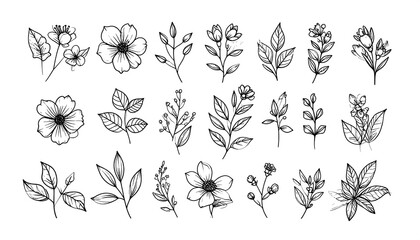 Floral line art collection