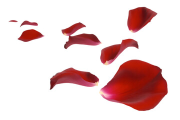 Scattered Red Rose Petals graphic wqptbfcirdix9nevfpvpoq Cutout PNG isolated on a transparent background