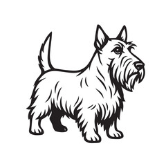 Vector drawing of a Scottish Terrier breed, illustrated in black and white style with black outline, perfect for animal graphics, logos, or artistic projects.