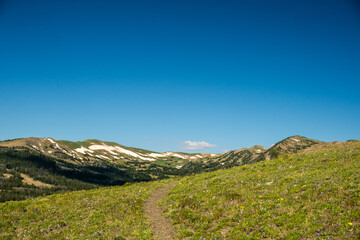 Trail Leading Through Meadow Toward The Gallatin Range In Yellowstone