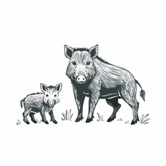 Wild boar family with piglets. Animal in natural habitat. Wild pig illustration. Isolated on white background. Vector. © 3okaad_Vectors