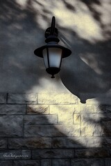 Vintage outdoor wall lantern casting a sharp shadow on textured stone and stucco wall in soft natural light