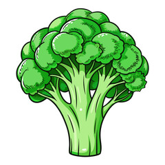 vector Hand drawn Broccolis, sketch style, isolated on white background