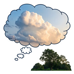 Cumulus Cloud in Thought Bubble Beside Tree on transparent background