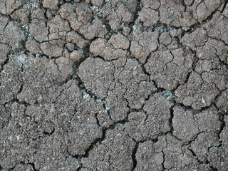 Dry cracked soil texture. Natural background of parched earth showing drought, climate change...