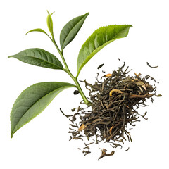 Loose Leaf Tea and Fresh Sprig on transparent background