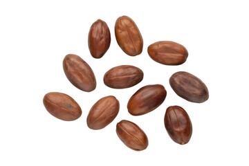 Pile of Cocoa Beans on a White Background 0222 aznoamg Cutout PNG isolated on a transparent background