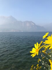 Lake in the Mountains