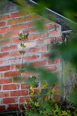 Red Brick Wall with Dark Metal Pipe and Blurred Green Foliage in Shallow Depth