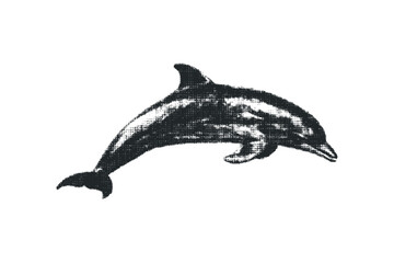 Fototapeta premium Isolated textured dolphin leaping, transparent. Vector hand drawn illustration