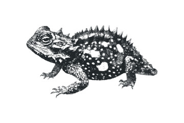 Naklejka premium Textured reptile with thorny skin on a transparent background. Vector hand drawn illustration