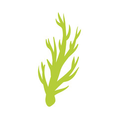 Seaweed logo EPS template icons vector illustration transparent background